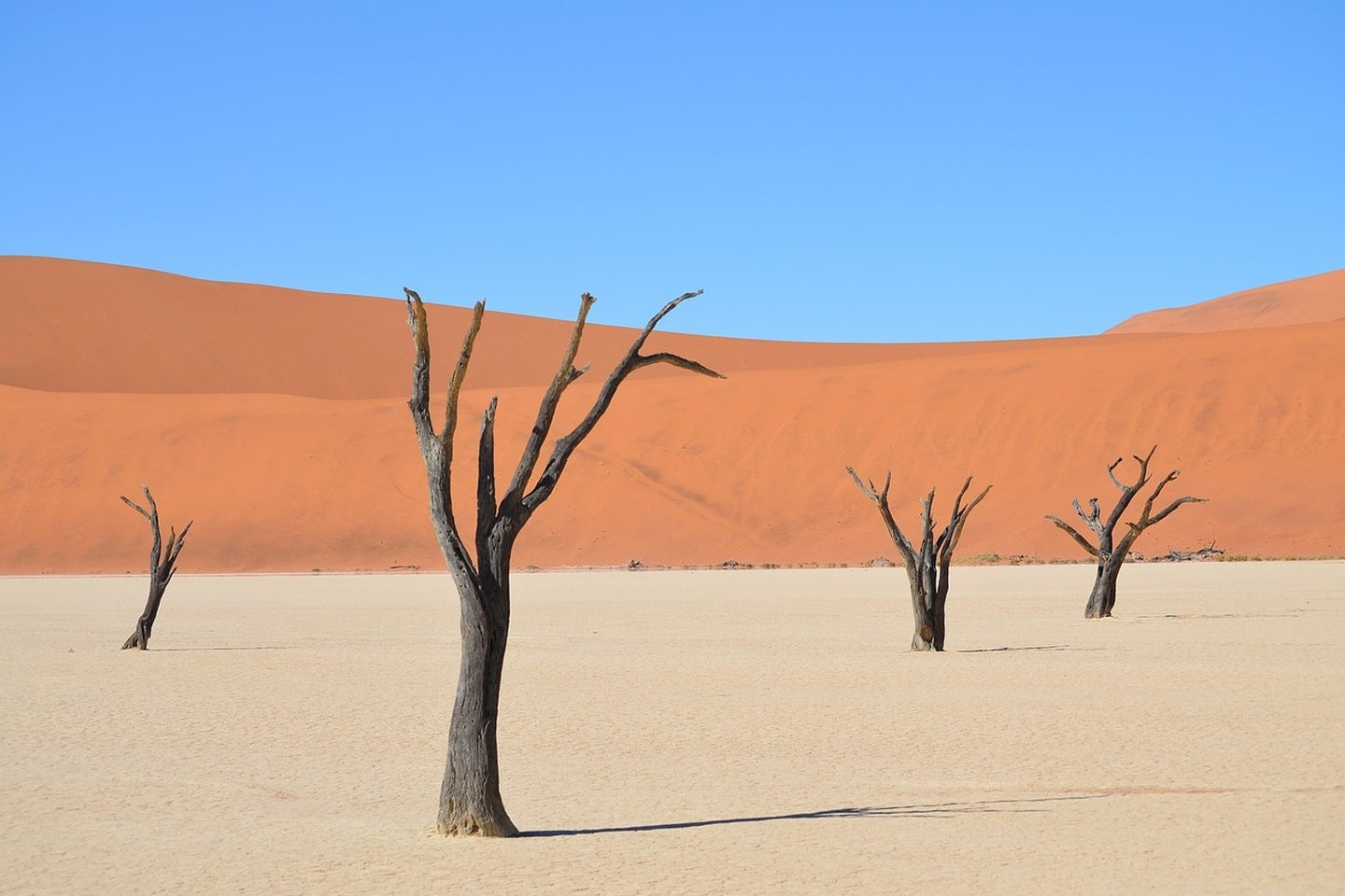 Photo Wallpaper Sossusvlei Namibia
