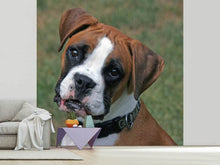 Load image into Gallery viewer, Photo Wallpaper Play with me !
