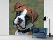 Load image into Gallery viewer, Photo Wallpaper Play with me !
