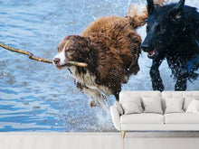 Load image into Gallery viewer, Photo Wallpaper Playing dogs
