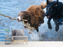 Load image into Gallery viewer, Photo Wallpaper Playing dogs
