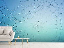 Load image into Gallery viewer, Photo Wallpaper Cobweb in morning dew
