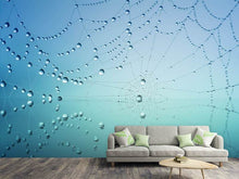 Load image into Gallery viewer, Photo Wallpaper Cobweb in morning dew
