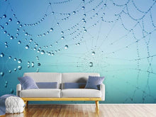 Load image into Gallery viewer, Photo Wallpaper Cobweb in morning dew
