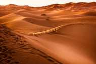 Photo Wallpaper Traces in the desert
