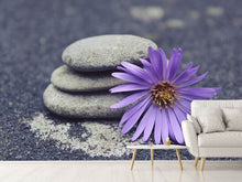 Load image into Gallery viewer, Photo Wallpaper Stack stones
