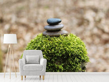 Load image into Gallery viewer, Photo Wallpaper Stone pile on plant
