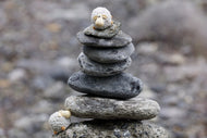 Photo Wallpaper Stone pile sheep