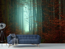 Load image into Gallery viewer, Photo Wallpaper Mood in the forest
