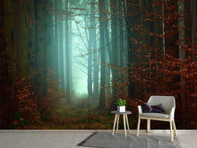 Load image into Gallery viewer, Photo Wallpaper Mood in the forest
