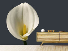 Load image into Gallery viewer, Photo Wallpaper Proud Calla
