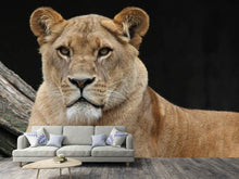Load image into Gallery viewer, Photo Wallpaper Proud lioness
