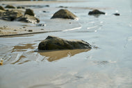 Photo Wallpaper Beach moments