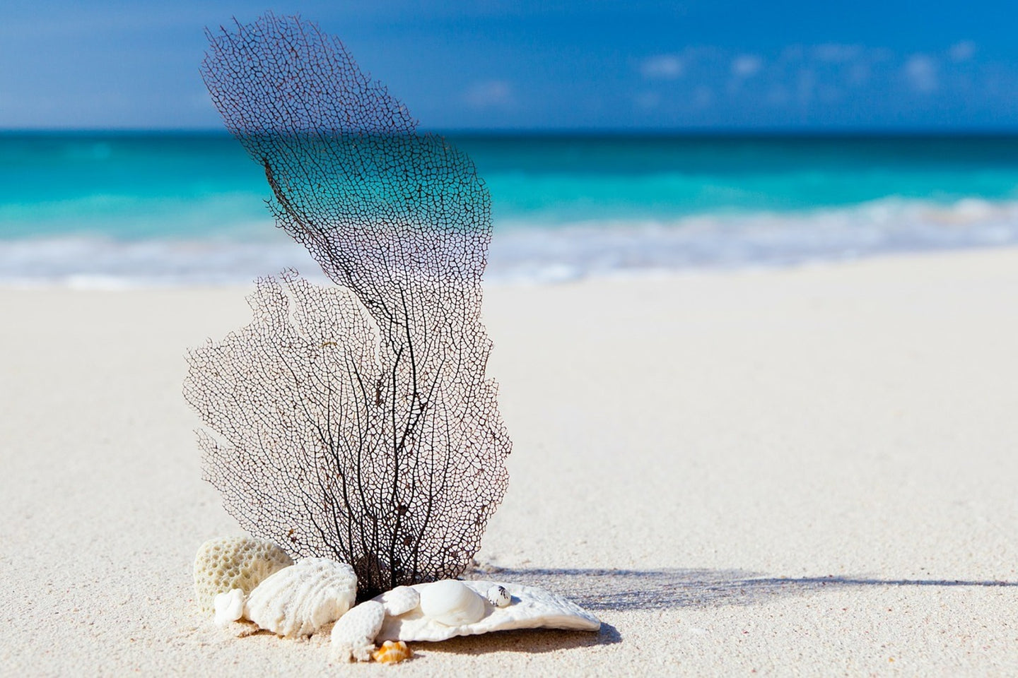 Photo Wallpaper beach art