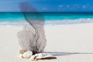 Photo Wallpaper beach art
