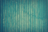 Photo Wallpaper Strip of nature