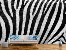 Load image into Gallery viewer, Photo Wallpaper Strip of the zebra
