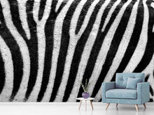 Load image into Gallery viewer, Photo Wallpaper Strip of the zebra

