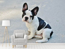 Load image into Gallery viewer, Photo Wallpaper Sweet French Bulldog
