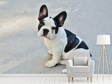 Load image into Gallery viewer, Photo Wallpaper Sweet French Bulldog
