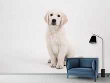 Load image into Gallery viewer, Photo Wallpaper Sweet Golden Retriever puppy

