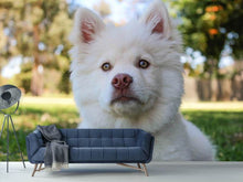 Load image into Gallery viewer, Photo Wallpaper Sweet dog snout
