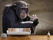 Load image into Gallery viewer, Photo Wallpaper Sweet chimpanzee
