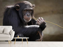 Load image into Gallery viewer, Photo Wallpaper Sweet chimpanzee
