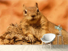 Load image into Gallery viewer, Photo Wallpaper Sweet squirrel
