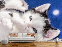 Load image into Gallery viewer, Photo Wallpaper Sweet kitten
