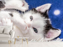 Load image into Gallery viewer, Photo Wallpaper Sweet kitten
