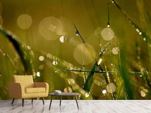 Load image into Gallery viewer, Photo Wallpaper Dew in the morning
