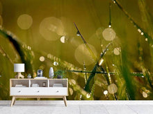 Load image into Gallery viewer, Photo Wallpaper Dew in the morning
