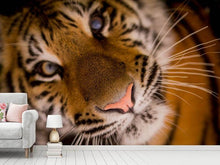 Load image into Gallery viewer, Photo Wallpaper Tiger face
