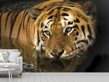 Load image into Gallery viewer, Photo Wallpaper Tiger in the water

