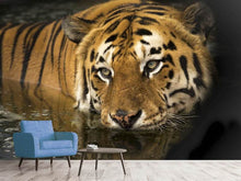 Load image into Gallery viewer, Photo Wallpaper Tiger in the water
