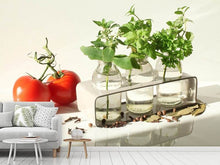 Load image into Gallery viewer, Photo Wallpaper Tomatoes and herbs
