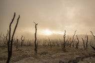 Photo Wallpaper Dead land