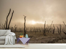 Load image into Gallery viewer, Photo Wallpaper Dead land
