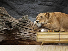 Load image into Gallery viewer, Photo Wallpaper Dreaming lioness
