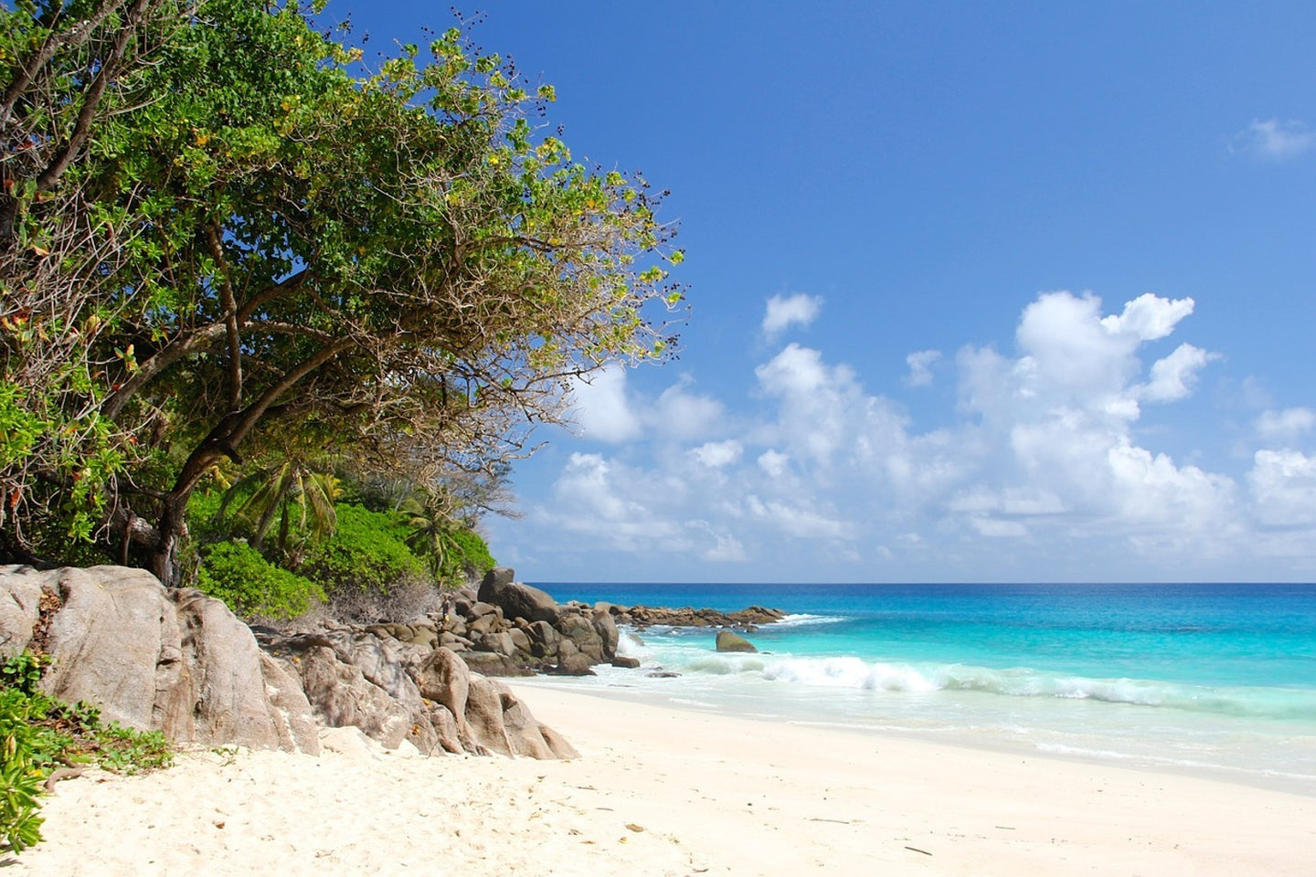 Photo Wallpaper Dream Beach Seychelles