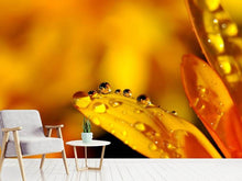 Load image into Gallery viewer, Photo Wallpaper Drops Close up
