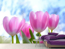 Load image into Gallery viewer, Photo Wallpaper Tulips in nature
