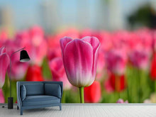 Load image into Gallery viewer, Photo Wallpaper Tulip field in pink-red
