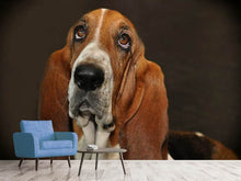 Load image into Gallery viewer, Photo Wallpaper Typical basset
