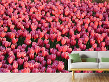 Load image into Gallery viewer, Photo Wallpaper Lush tulip field
