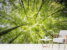 Load image into Gallery viewer, Photo Wallpaper Under the treetops
