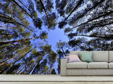 Load image into Gallery viewer, Photo Wallpaper Under high treetops
