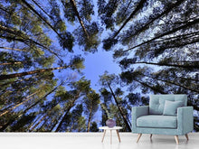Load image into Gallery viewer, Photo Wallpaper Under high treetops
