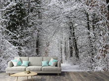Load image into Gallery viewer, Photo Wallpaper Enchanted winter forest
